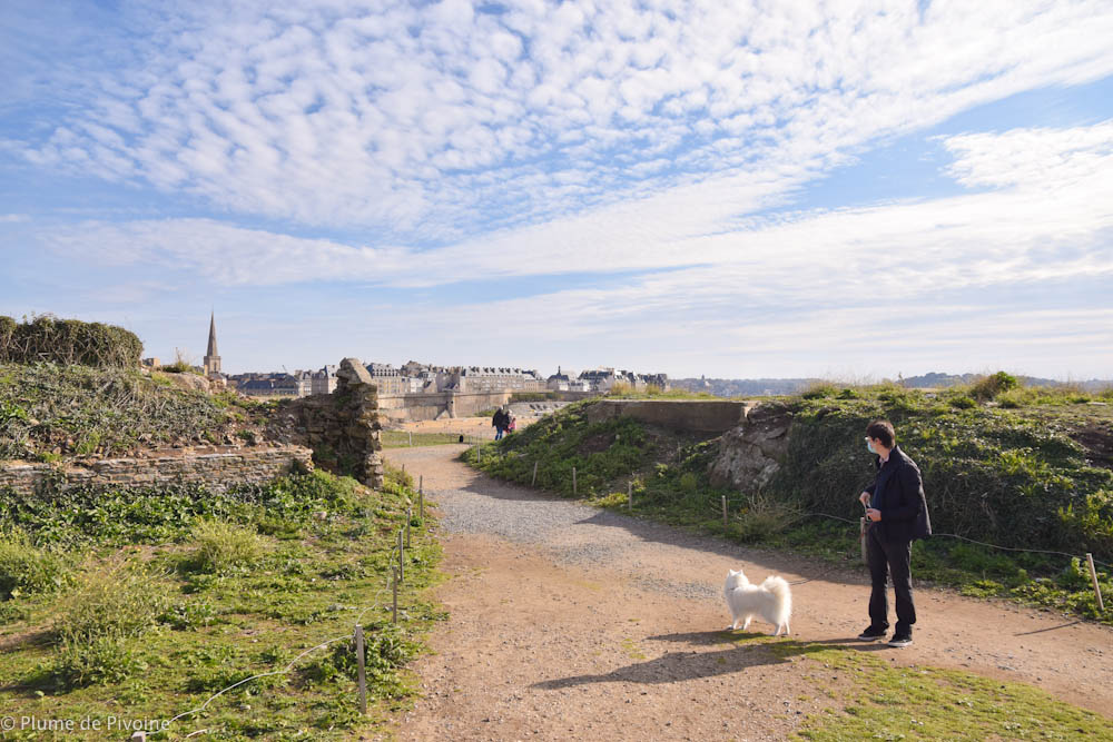 Saint Malo Et L'île Du Grand Bey - Plume De Pivoine